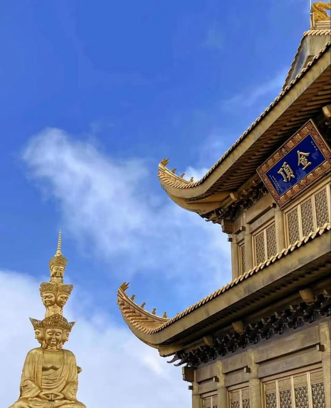 小姐姐说登上金顶那一刻雾散云淡 善愿皆见者好运