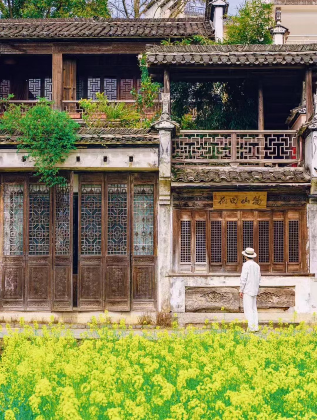 这个被《国家地理》评位中国最美乡村的地方,有遍野