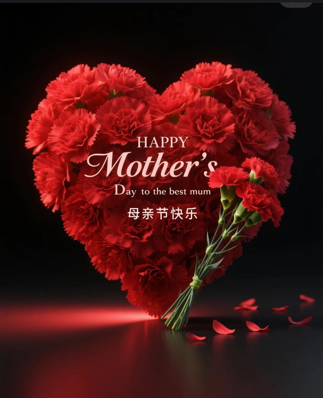 愿这个母亲节,爱如海浪轻拥岸边的礁石,温柔且永恒