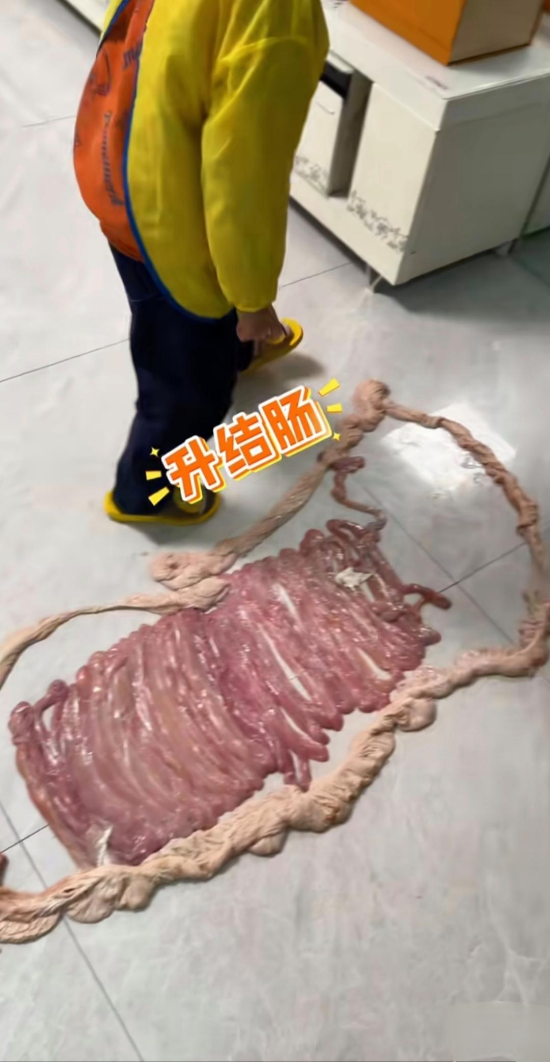 这孩子可是"先天学医圣体"啊!