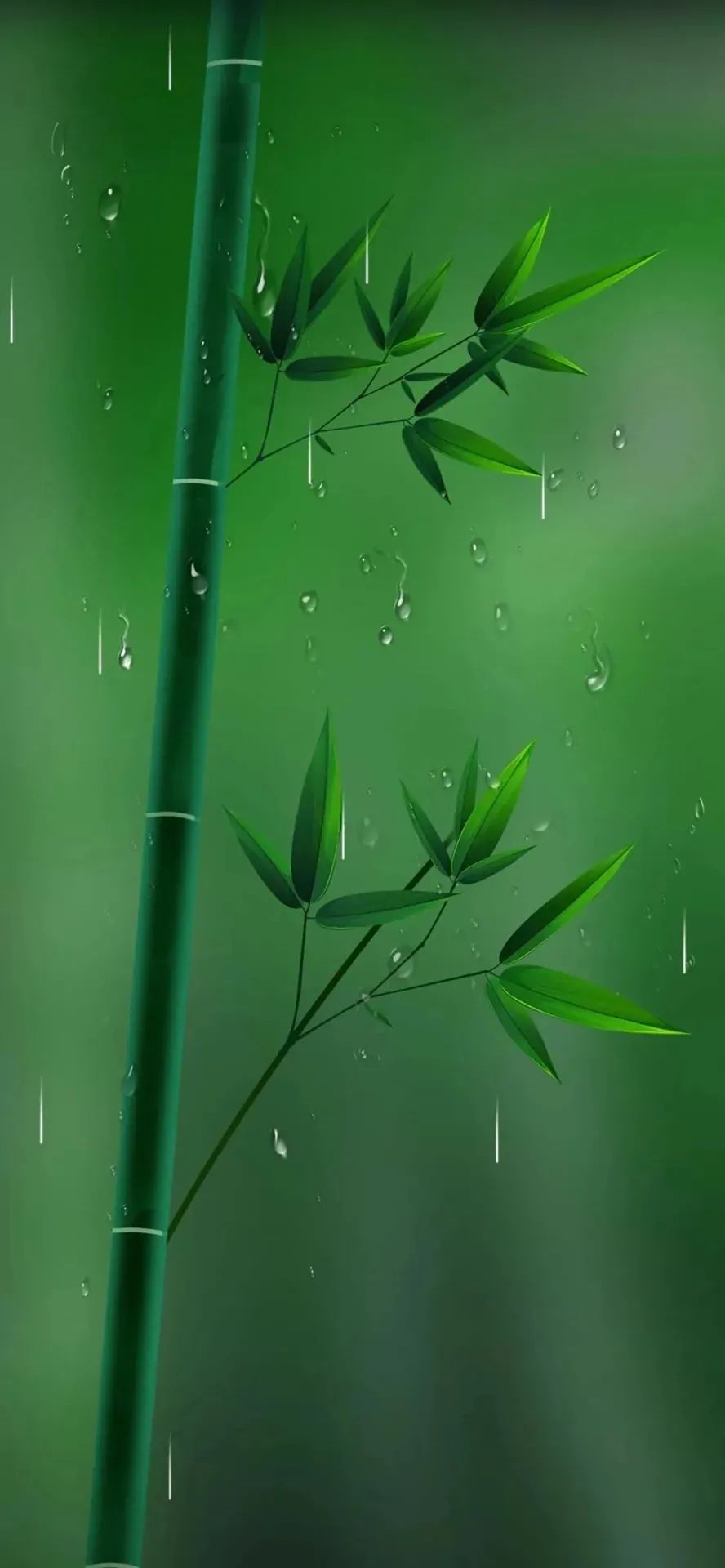 解压护眼丨绿色护眼高清壁纸 屏保壁纸 你该换手机屏保了