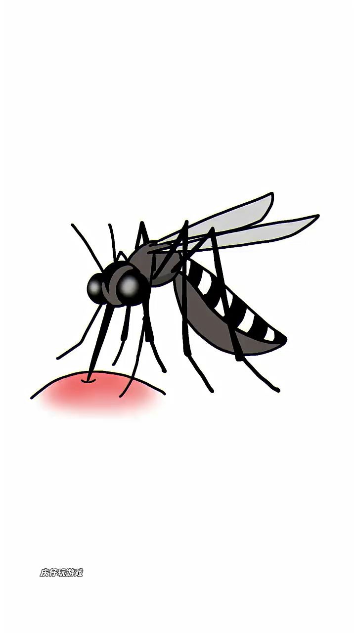 一只可爱的小蚊子
