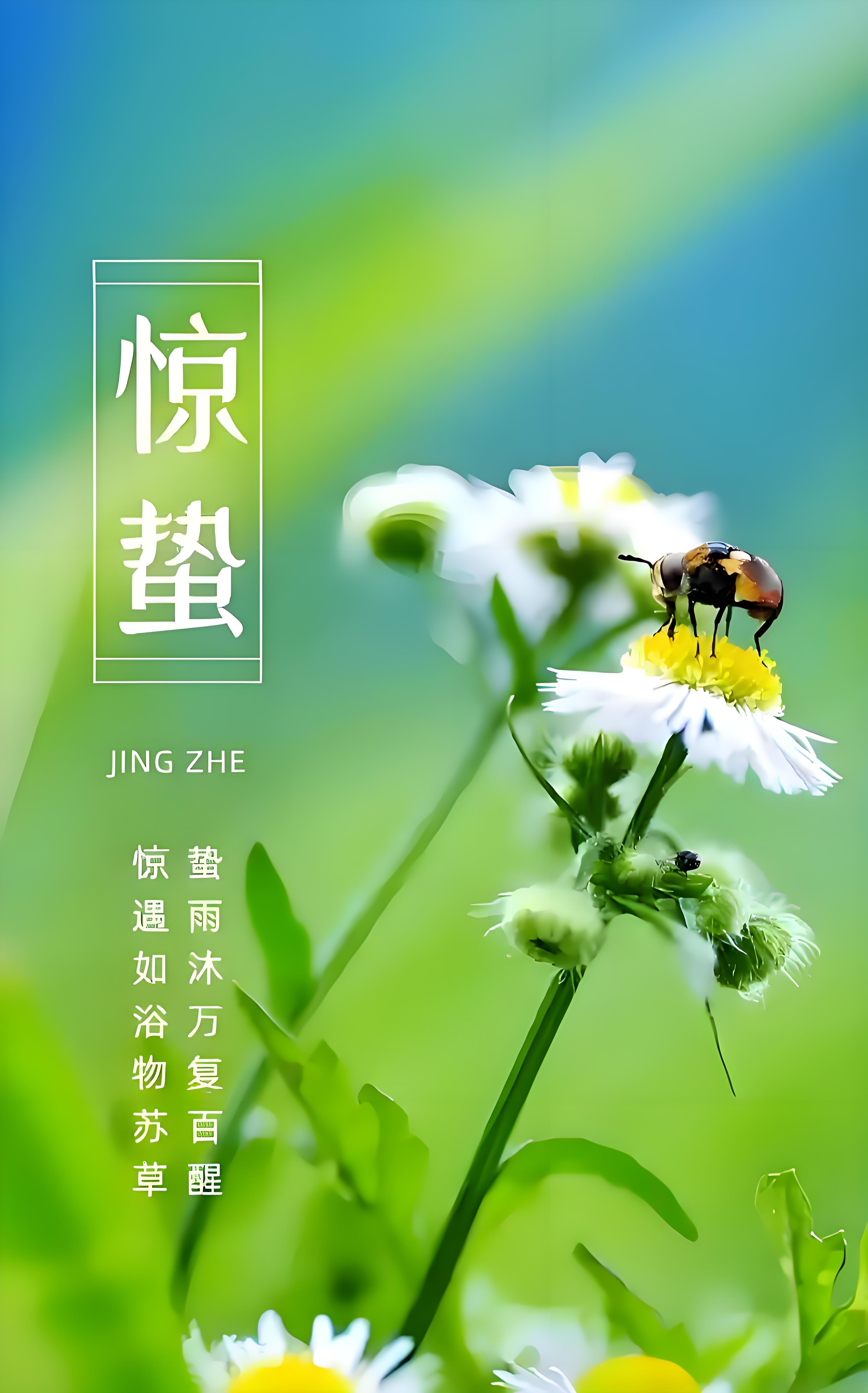 大山里的春天,化作了一幅幅美丽的田园风光画卷 惊蛰