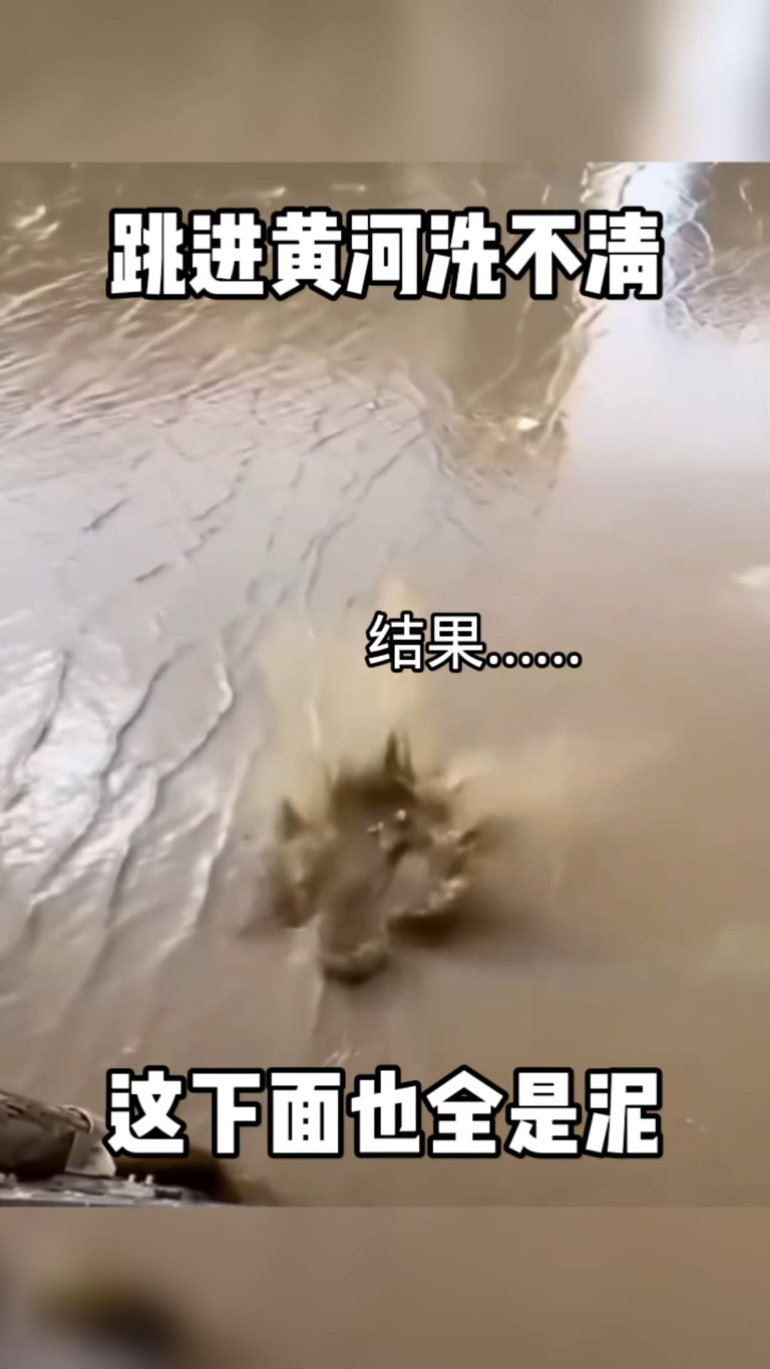 跳进黄河洗不清,这下面全是泥,怎么搞的这么脏?