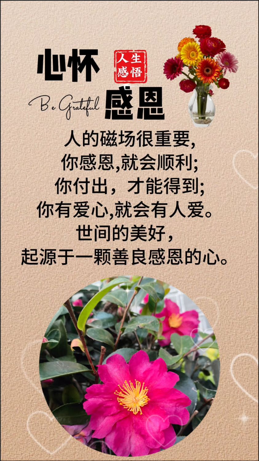 心怀感恩:世界的美好,起源于一颗善良感恩的心!