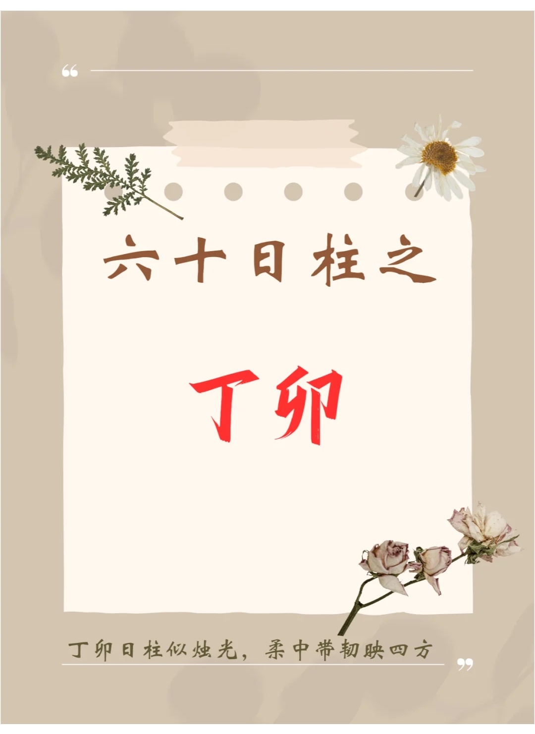 六十日柱之丁卯 丁卯日柱命理分析 日主特性与喜用神 丁卯日柱丁火坐