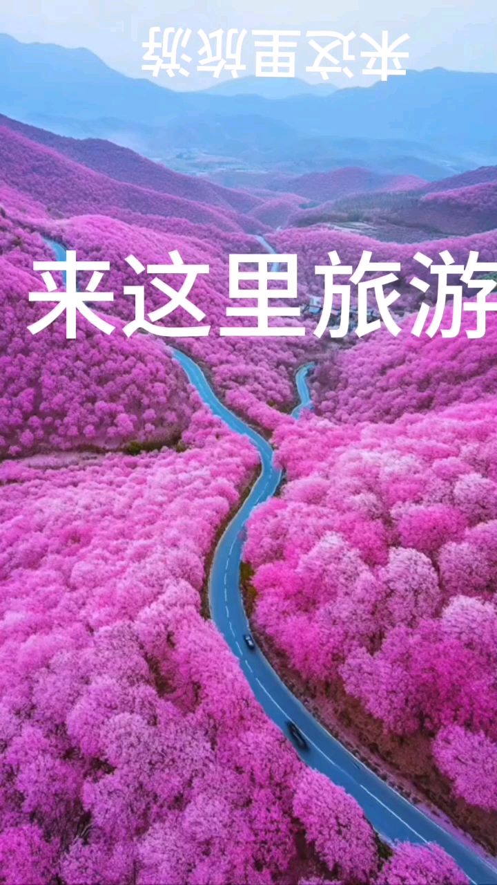 美丽的世界的介绍和美丽的世界图片剧情分析