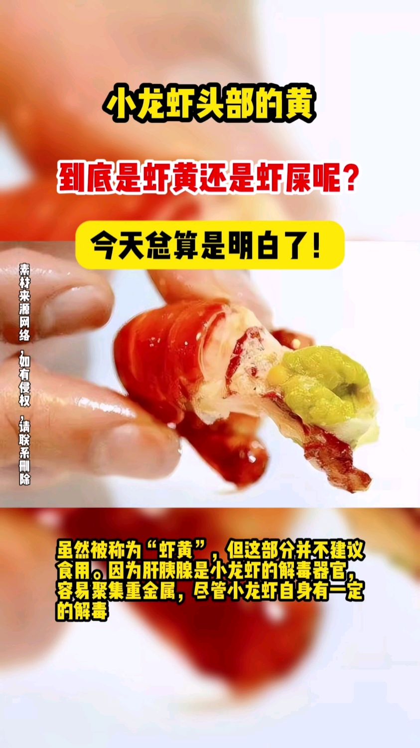 小龙虾头部的黄,到底是虾黄还是虾屎呢?今天总算是明白了!
