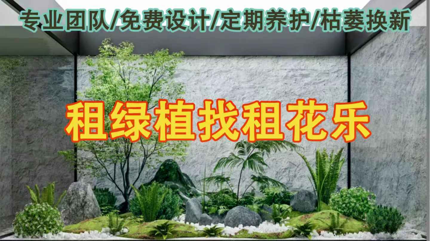 花卉租摆要求标准是什么