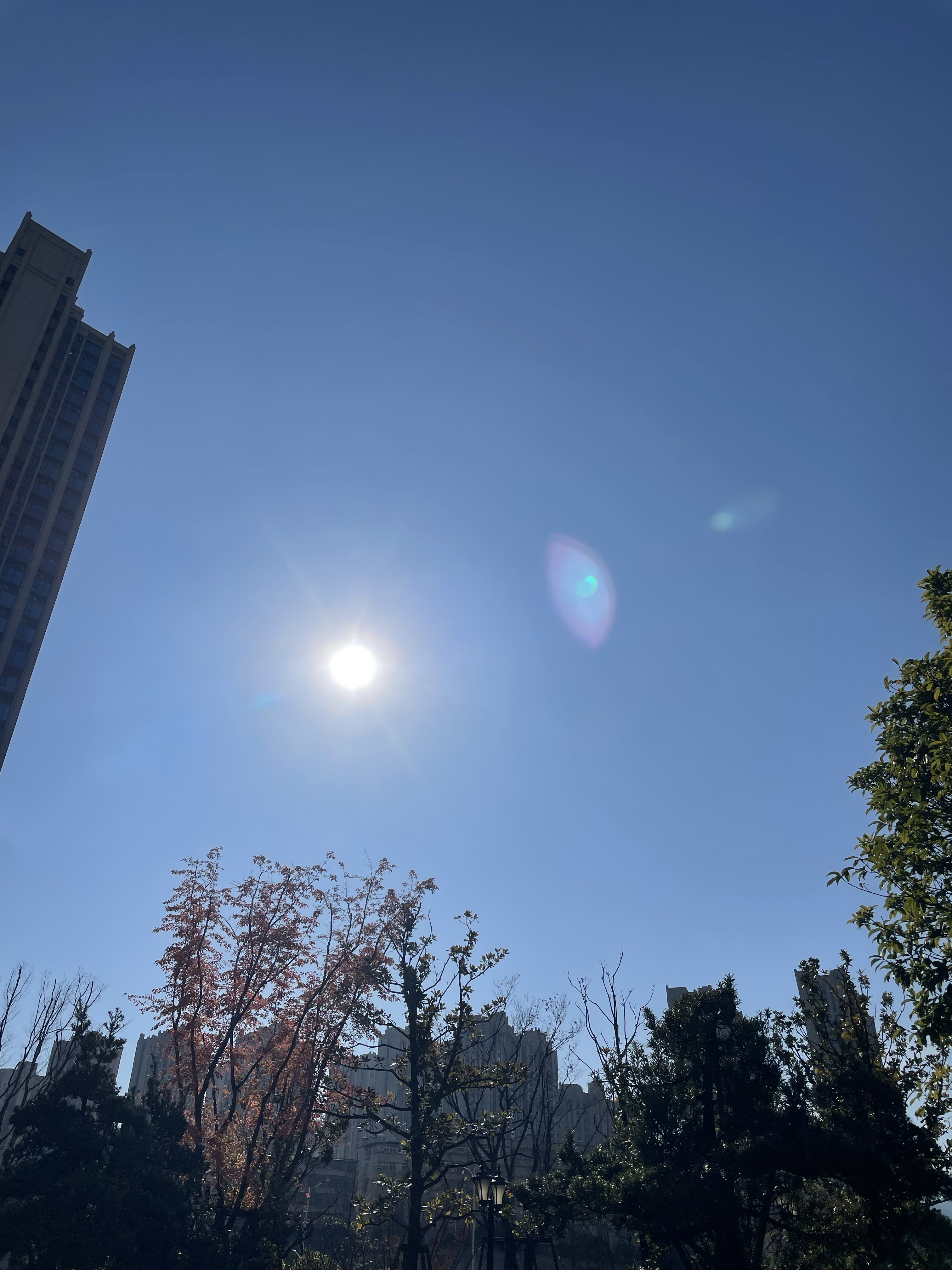 遇见光,追逐光,成为光,散发光!