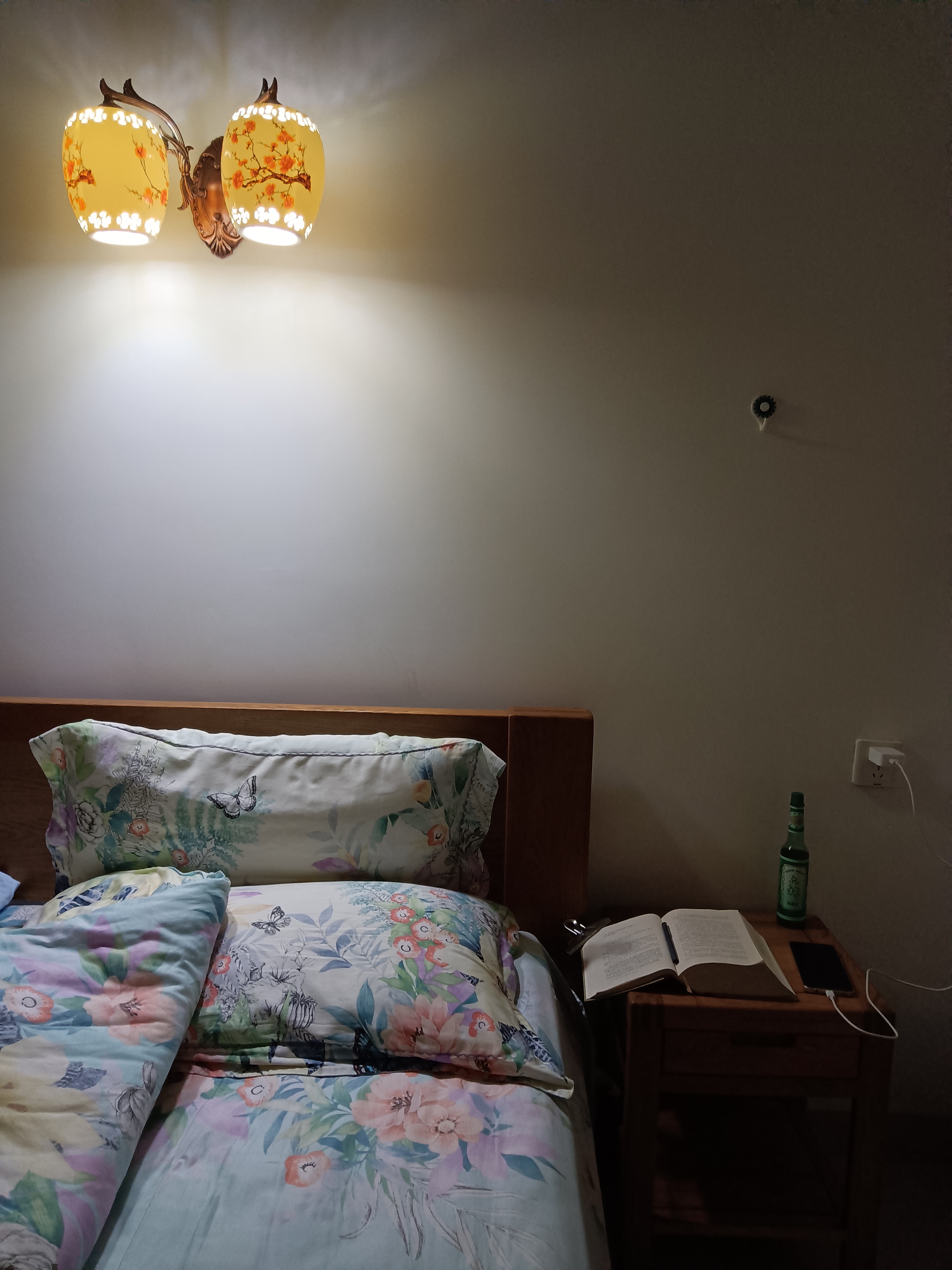 除了许多卖小吃的,晚上居然还有人卖菜,卖水果