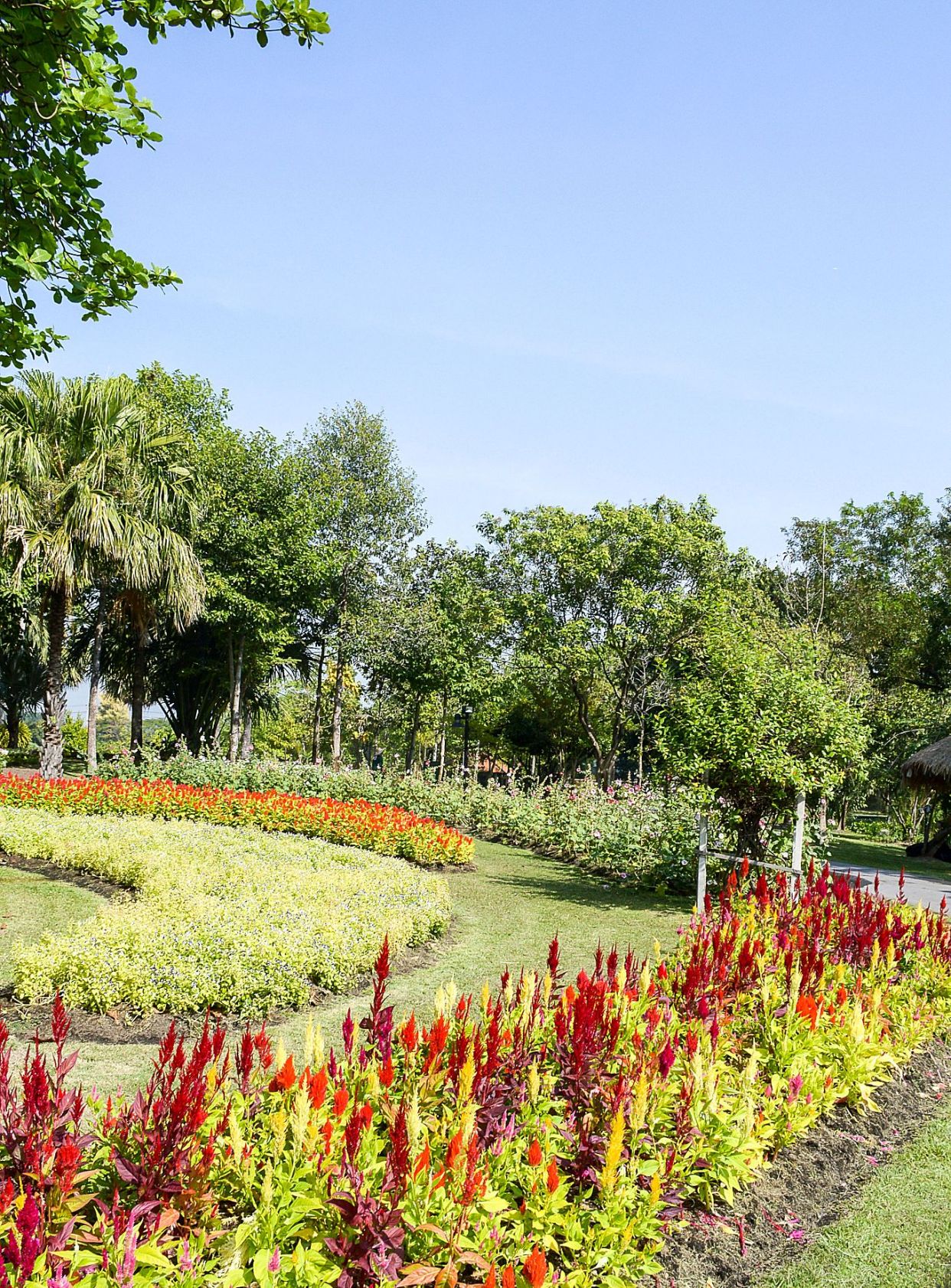 辰山植物园游记