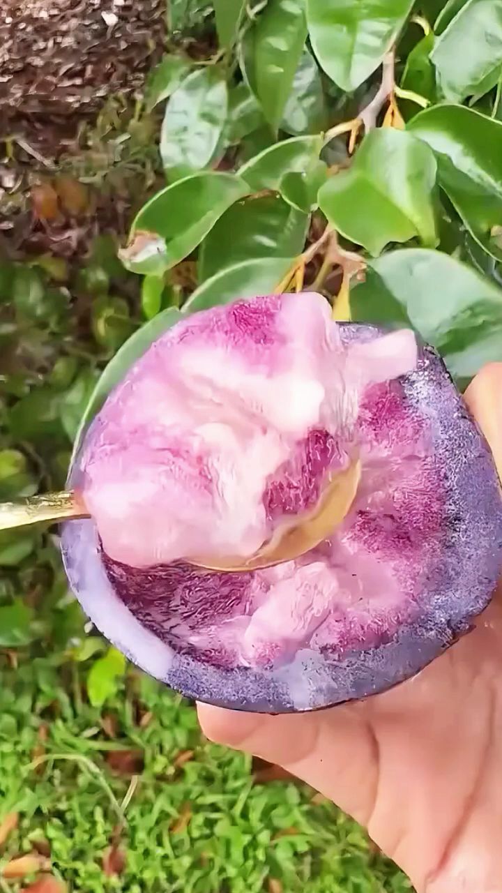 牛奶果 也叫星苹果,金星果,果肉呈星状,汁水似牛奶清甜多汁