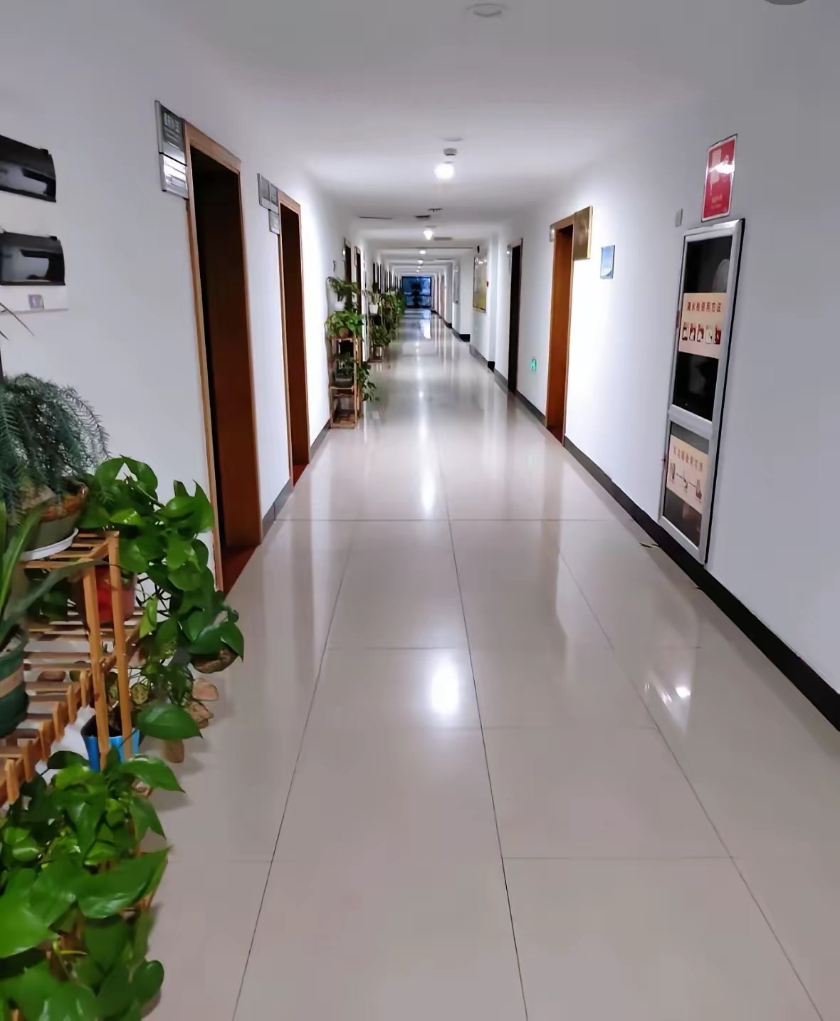 前段时间科长被提拔后,办公室就剩下我和三个同事,我是公务员