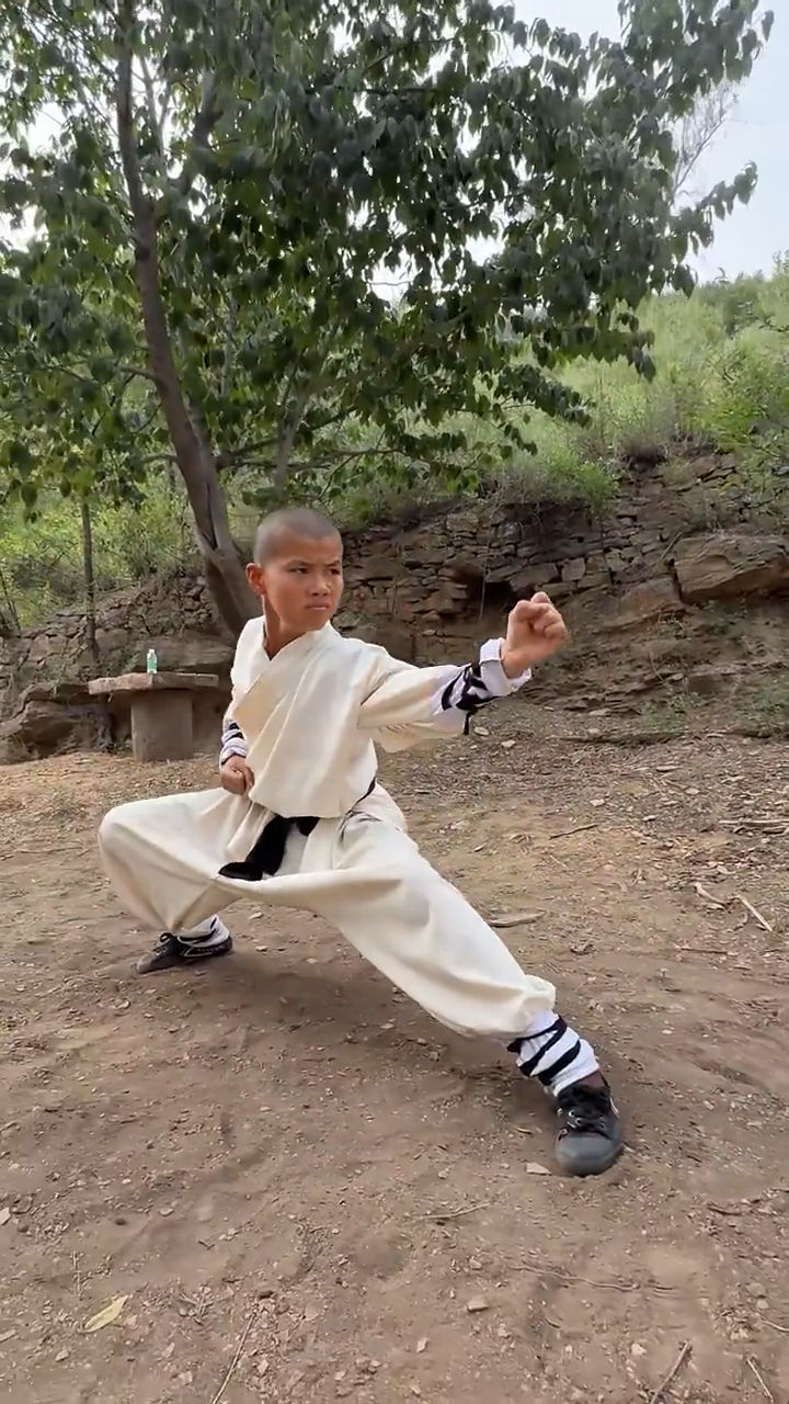 13岁少林小武僧表演李连杰迷踪拳,动作潇洒自如!