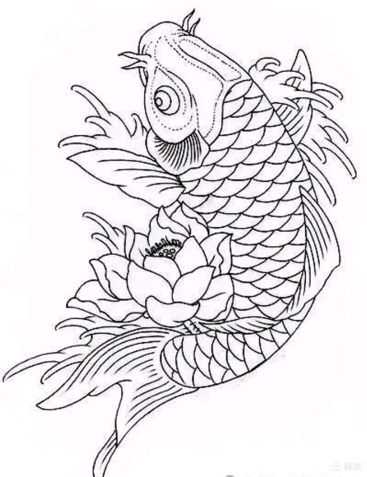 一组吉祥鱼白描