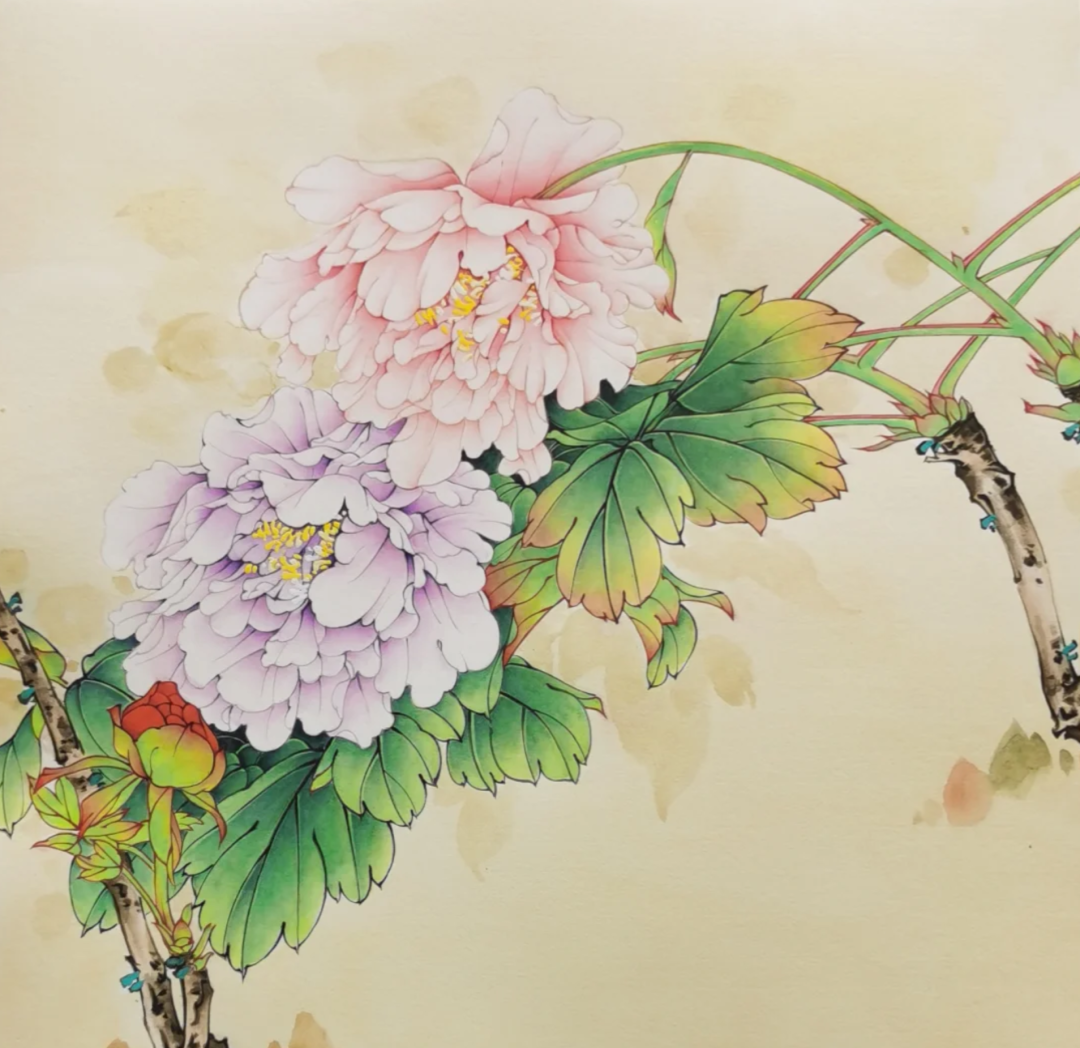 这9幅牡丹,国色天香,太漂亮啦!