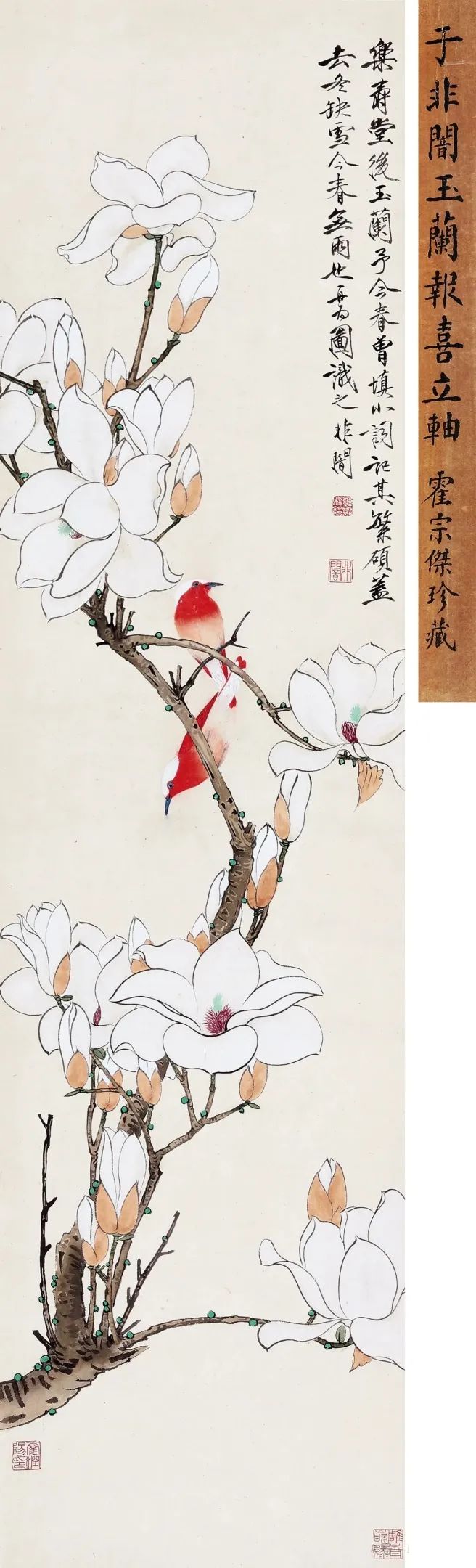 玉兰花开一树春:国画名家笔下的玉兰花!