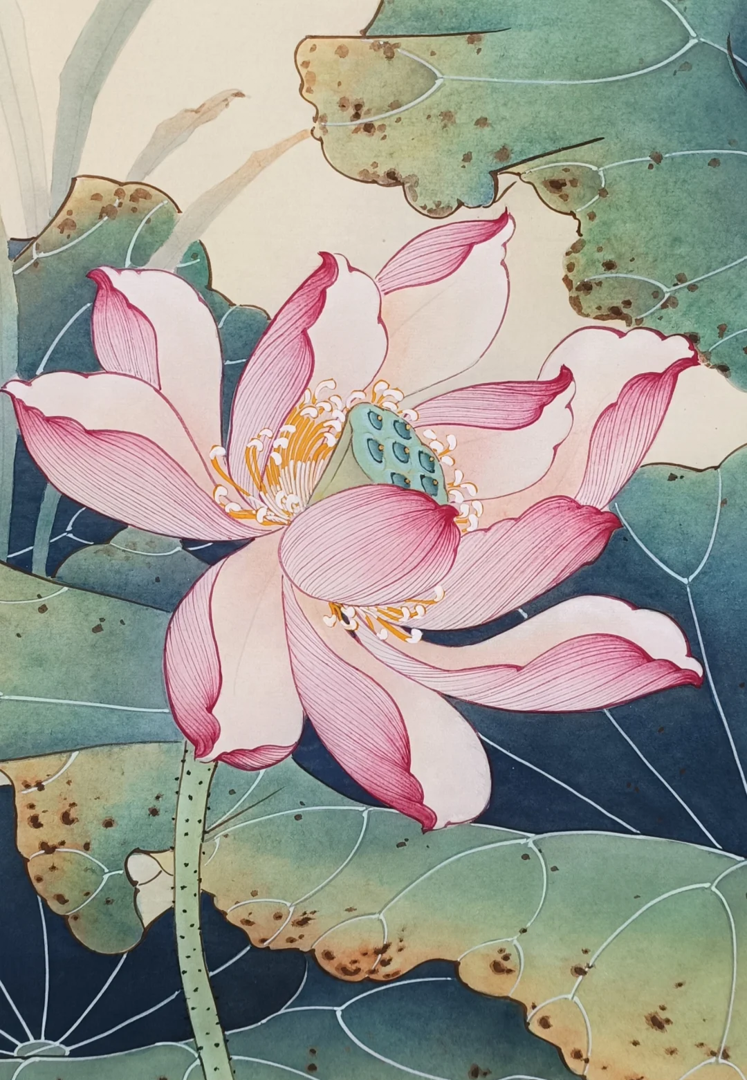 国画荷花图,附线稿,便于大家学习