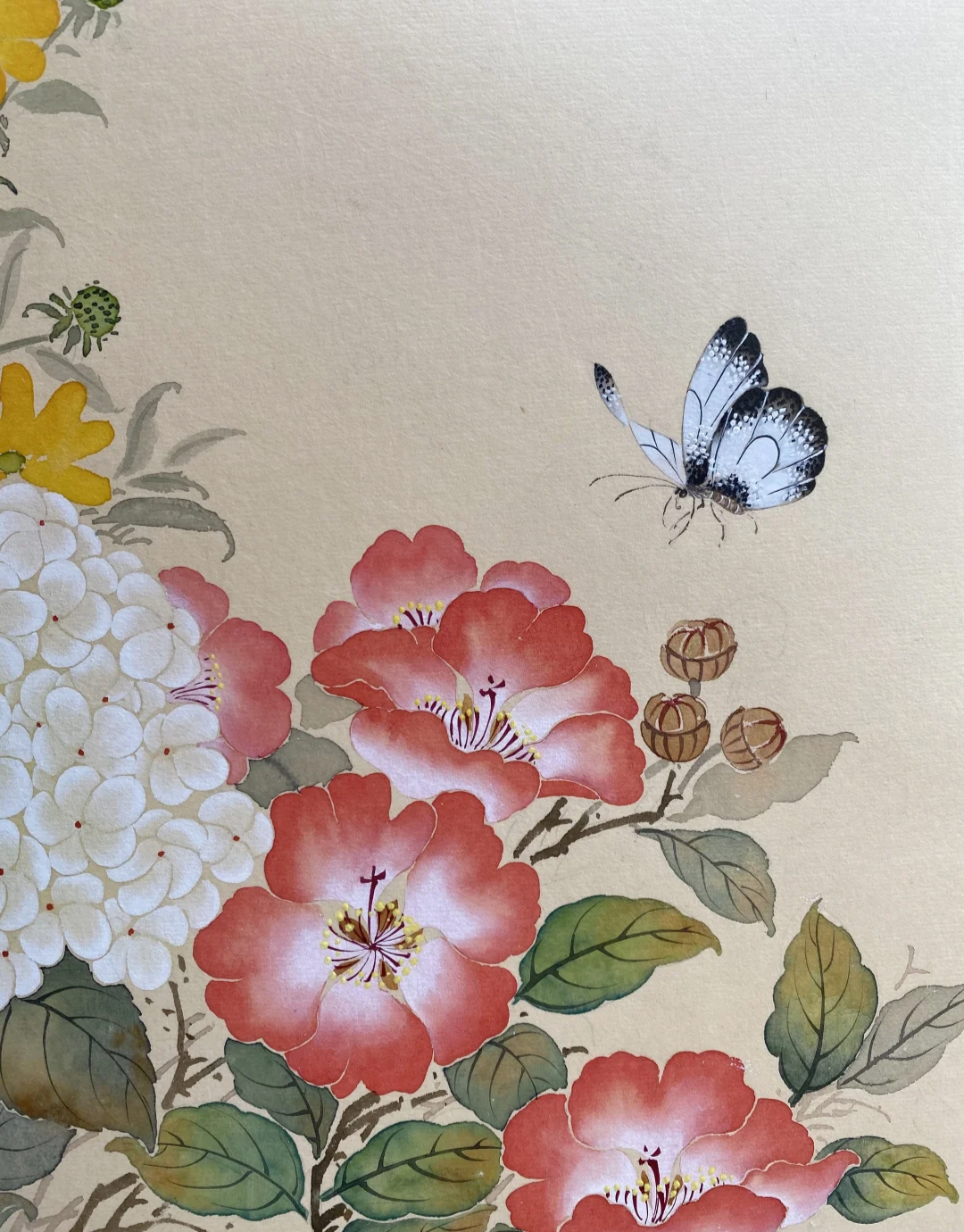 国画蝴蝶,蝶翼翩翩,栩栩如生,保存学习!