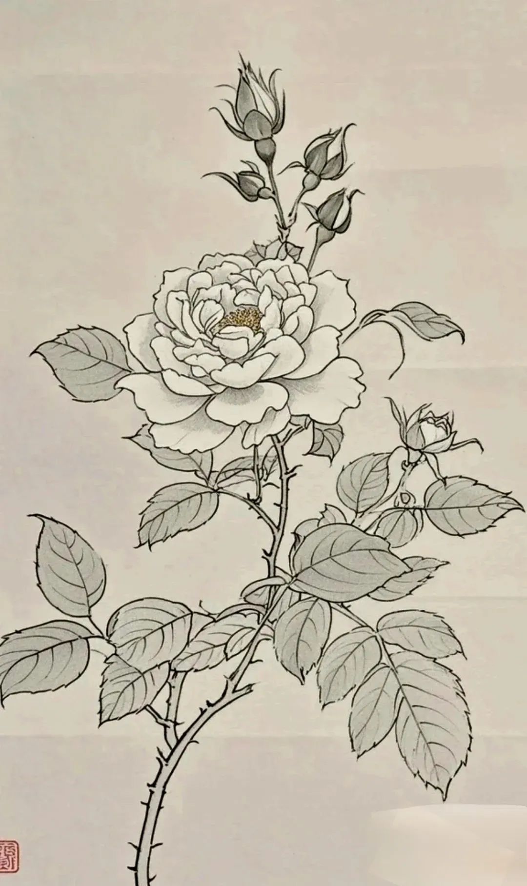 工笔玫瑰花
