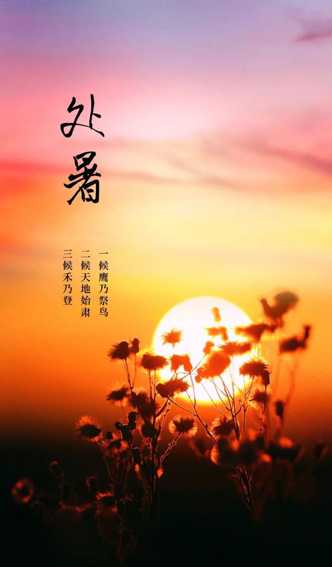 处暑浅秋逸韵岁月凝香