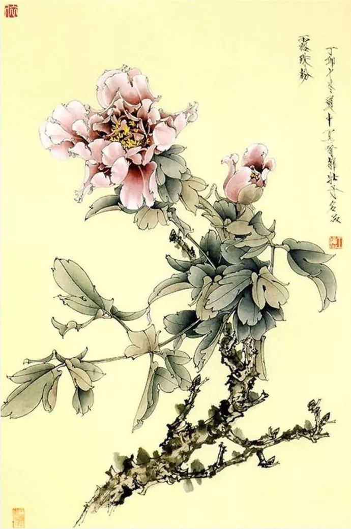 画经 | 王道中如何画工笔牡丹