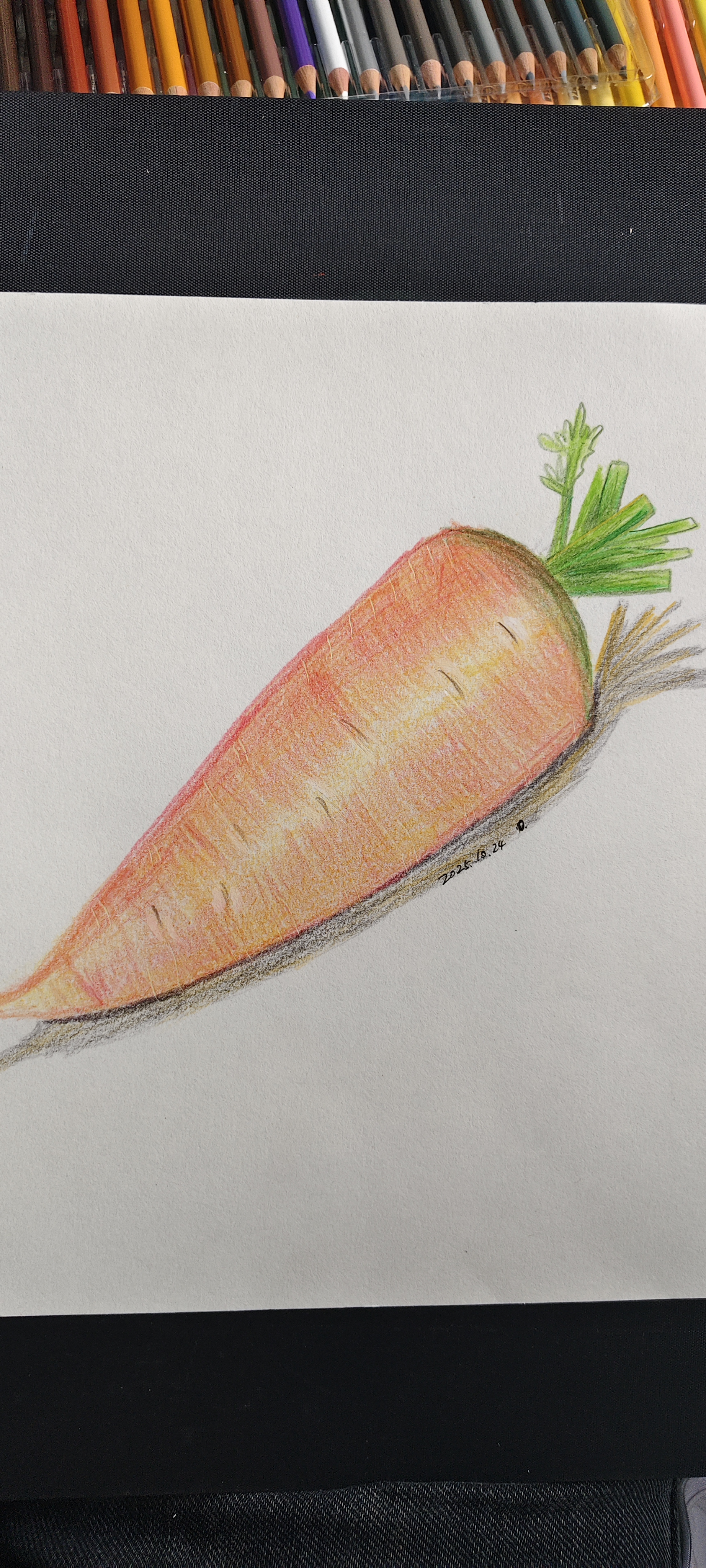 胡萝卜(彩铅)