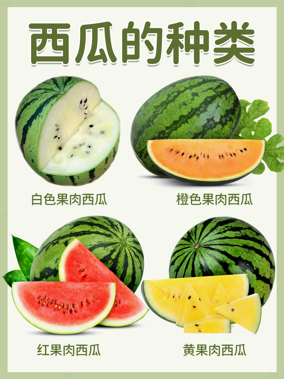 西瓜品种大揭秘!你pick哪一款?