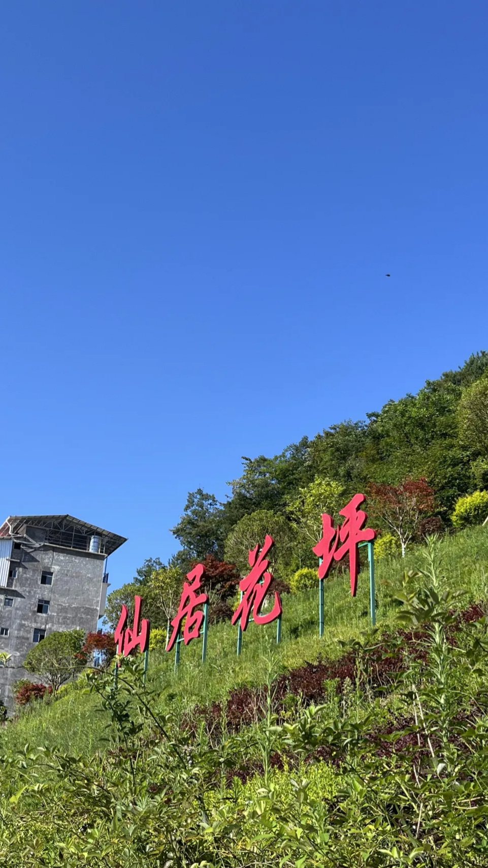 来我的城市避暑#在盛夏季节,湖北建始花坪平均温度25度,是不可多得的