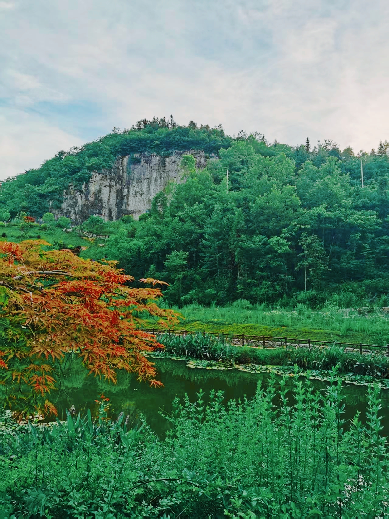 来我的城市避暑#在盛夏季节,湖北建始花坪平均温度25度,是不可多得的