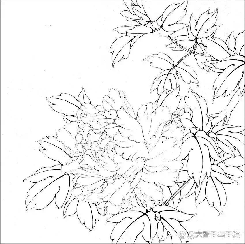 工笔重彩花卉技法精品课程