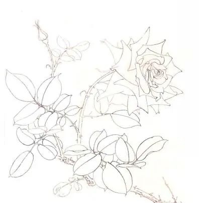 工笔画美术技法精品课程