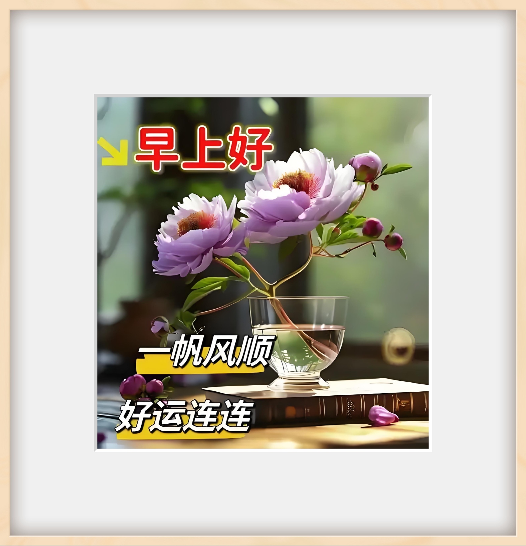 朝露沾衣时撞见了立夏独有的浪漫. 大家早上好!