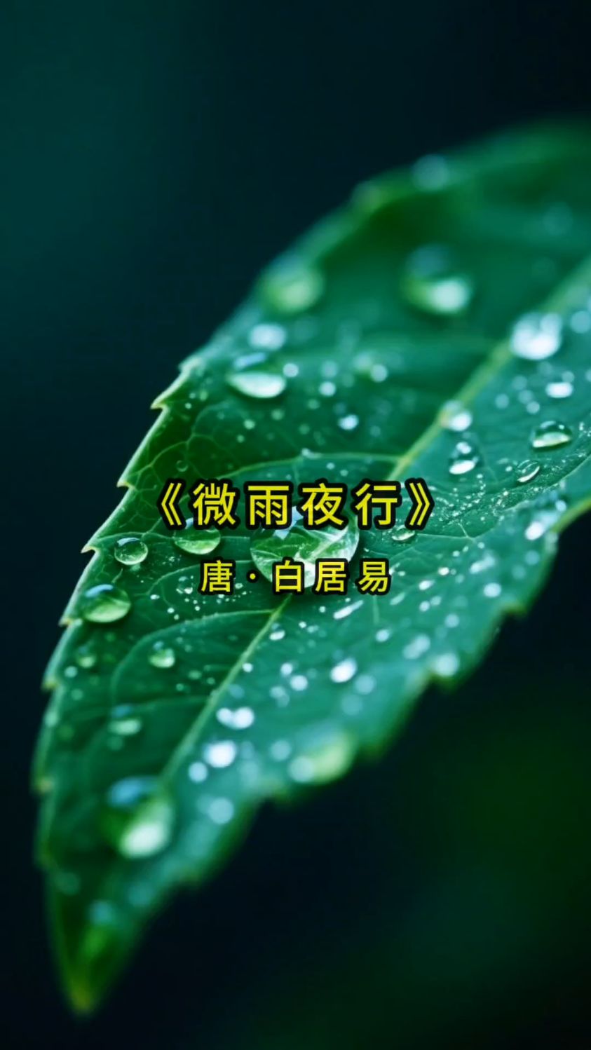 唯美古诗词欣赏 《微雨夜行》唐·白居易