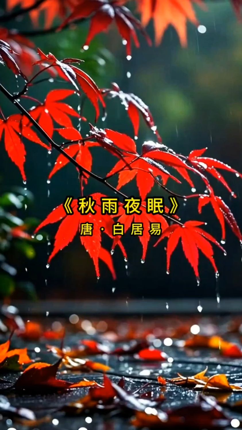 唯美古诗词欣赏 《秋雨夜眠》唐·白居易