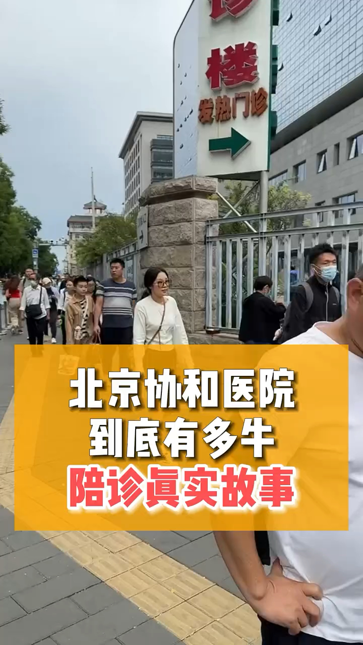 协和医院陪诊代挂号合规加急协调，协和医院陪诊代挂号合规加急协调费用