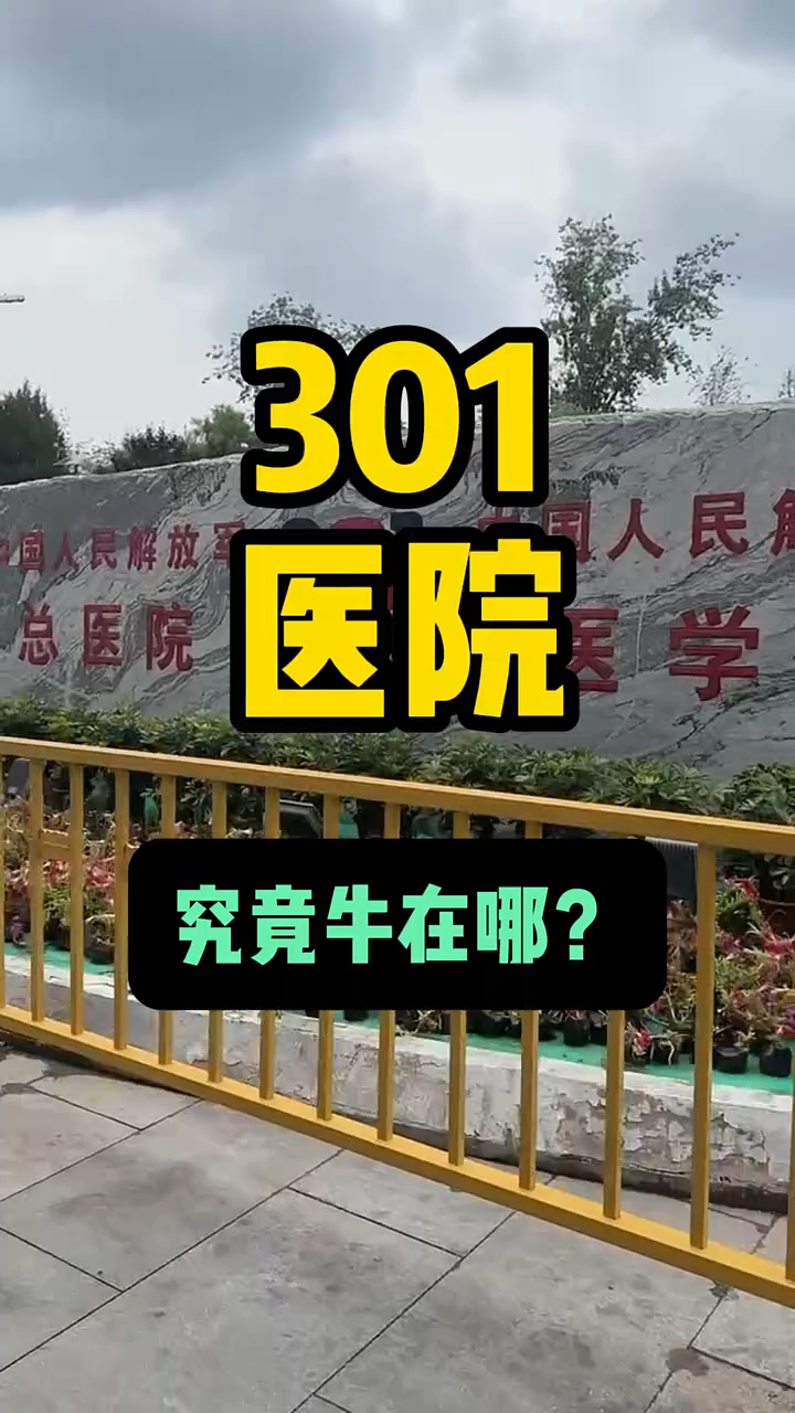 301医院全天陪诊含挂号-及时解决你就医问题的简单介绍