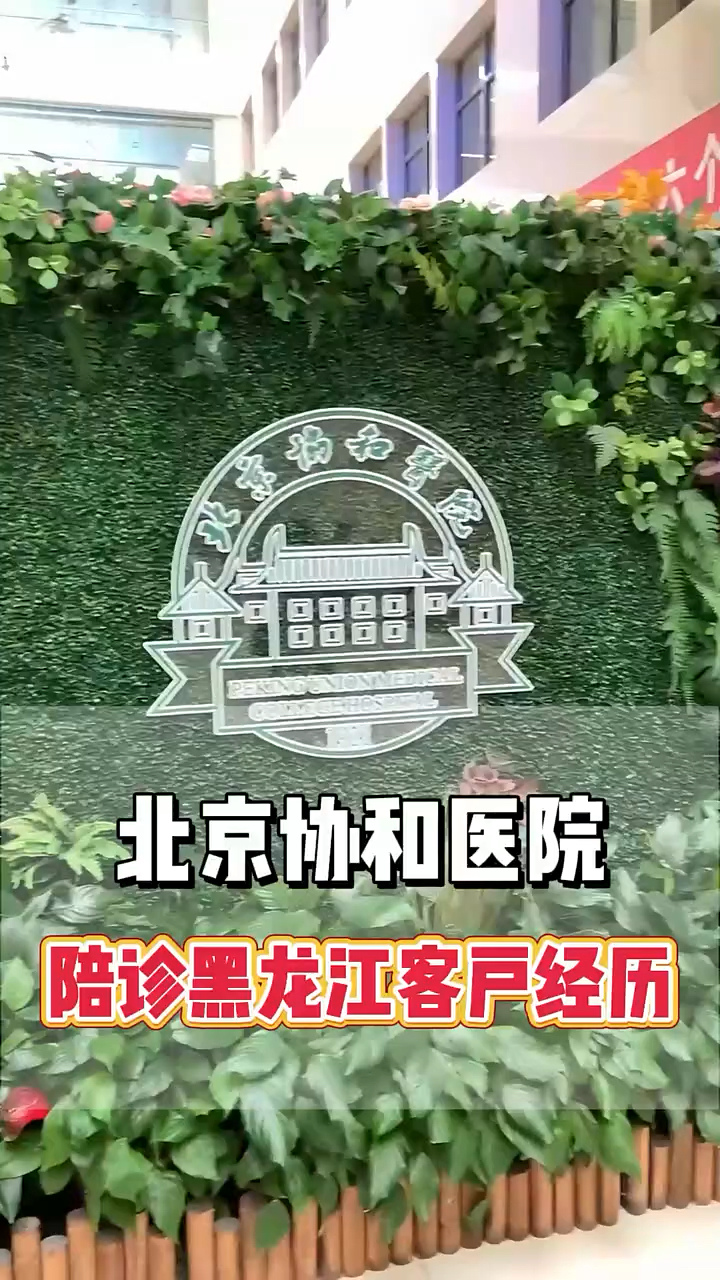 協和醫院預約掛號陪診一體院內雜事全程包辦，不用自己費心的簡單介紹