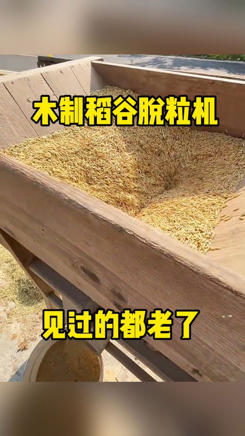 木质稻谷脱粒机,见过的都老了!