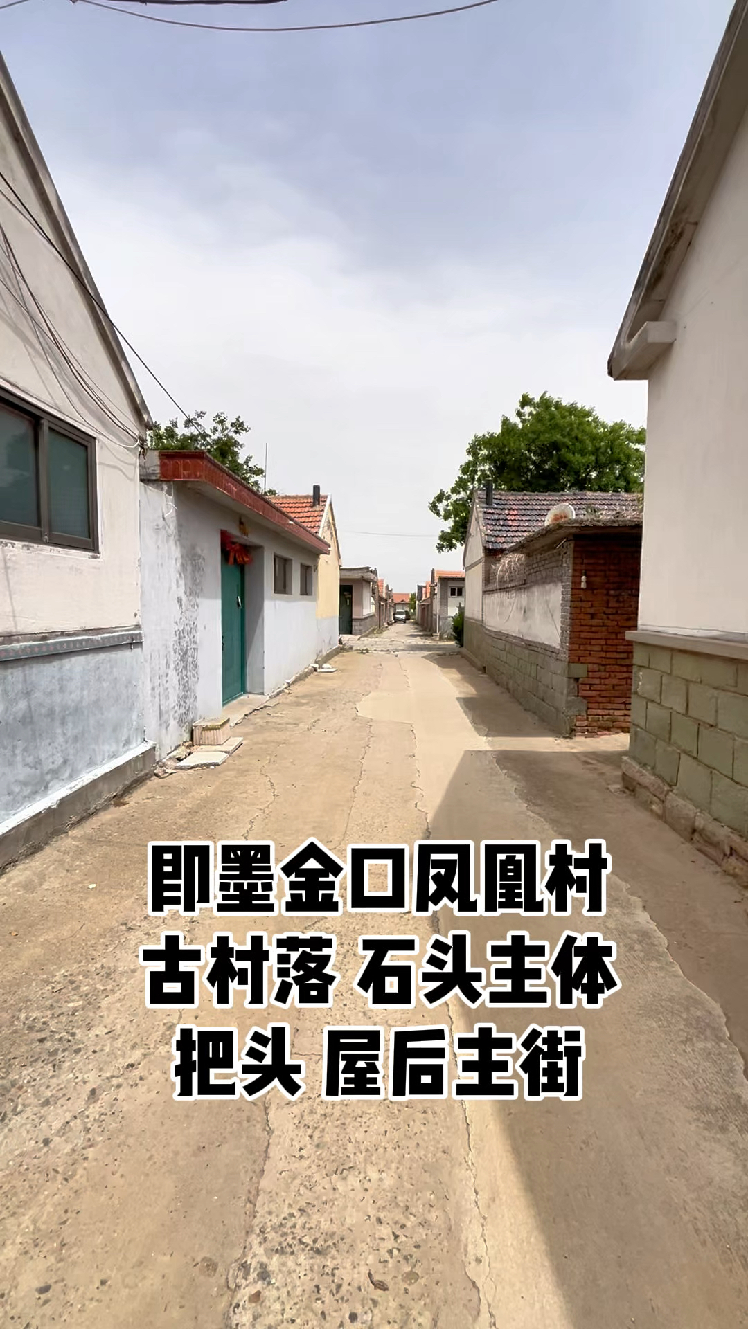 即墨金口凤凰古村老石头院儿!