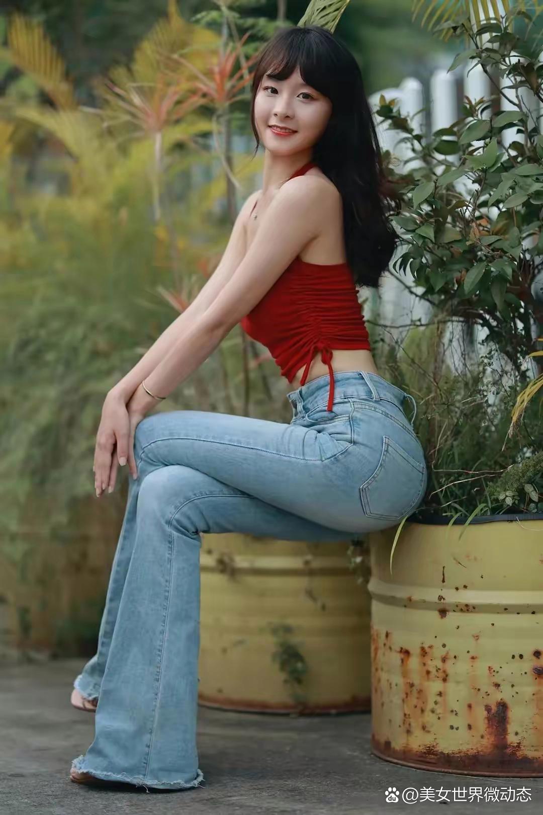 有美一人清扬婉兮 窈窕淑女君子好逑