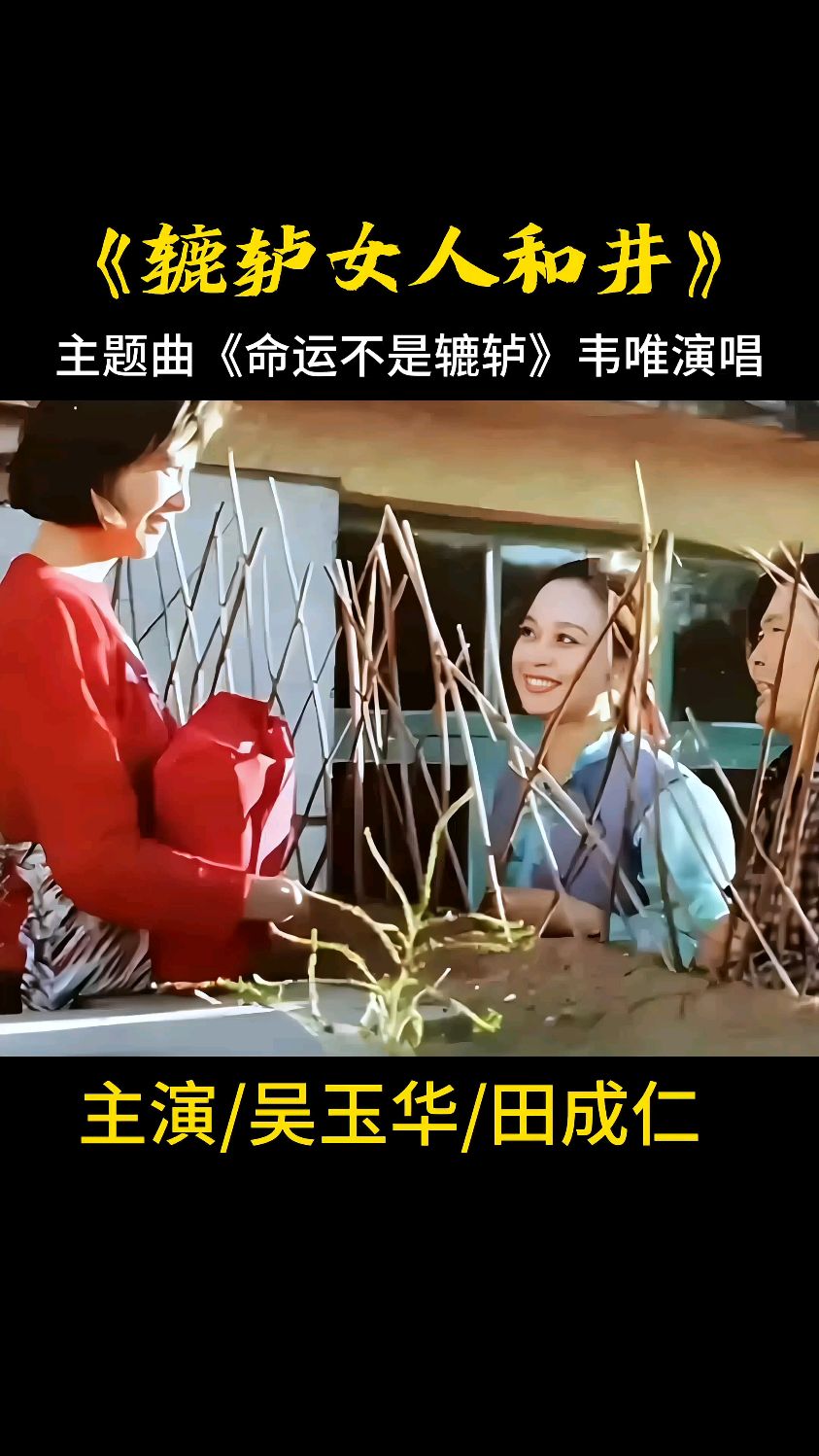 可怜的枣花,不成器的铜锁《篱辘轳女人和井》女人命运三部曲之一