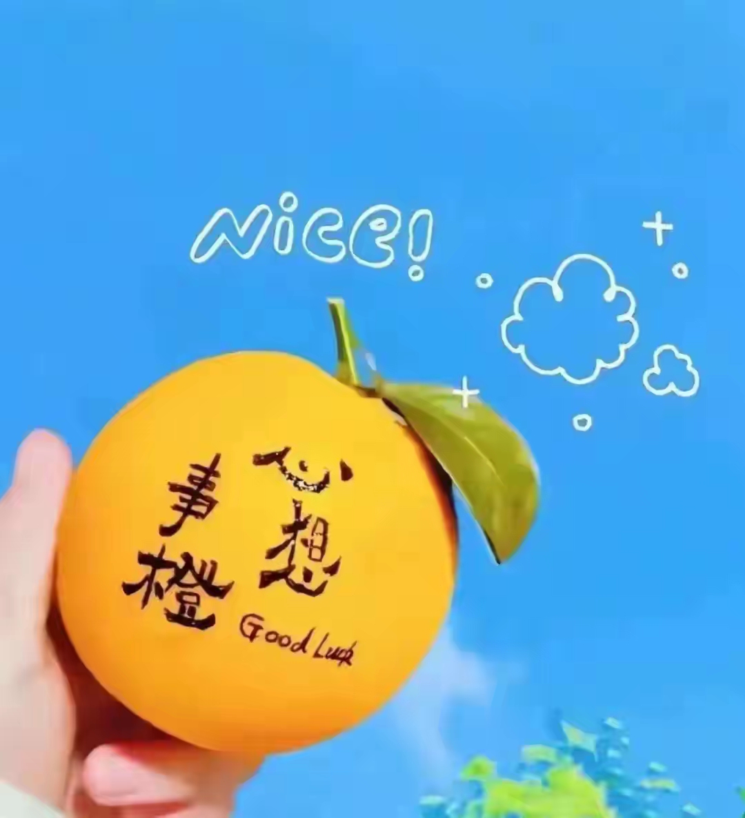 越用越顺的微信头像