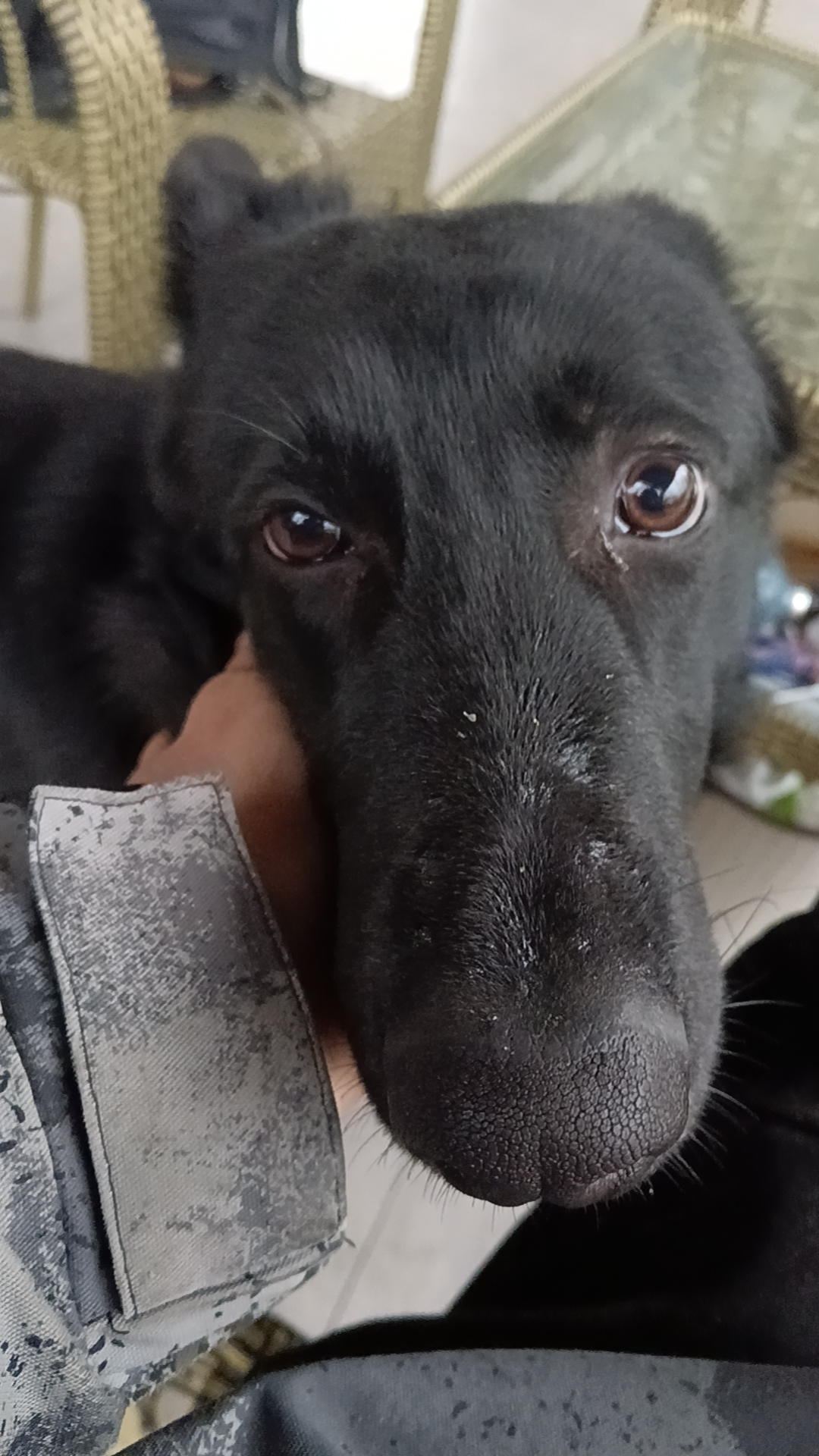 "   接着老师就点了一位女生起来回答