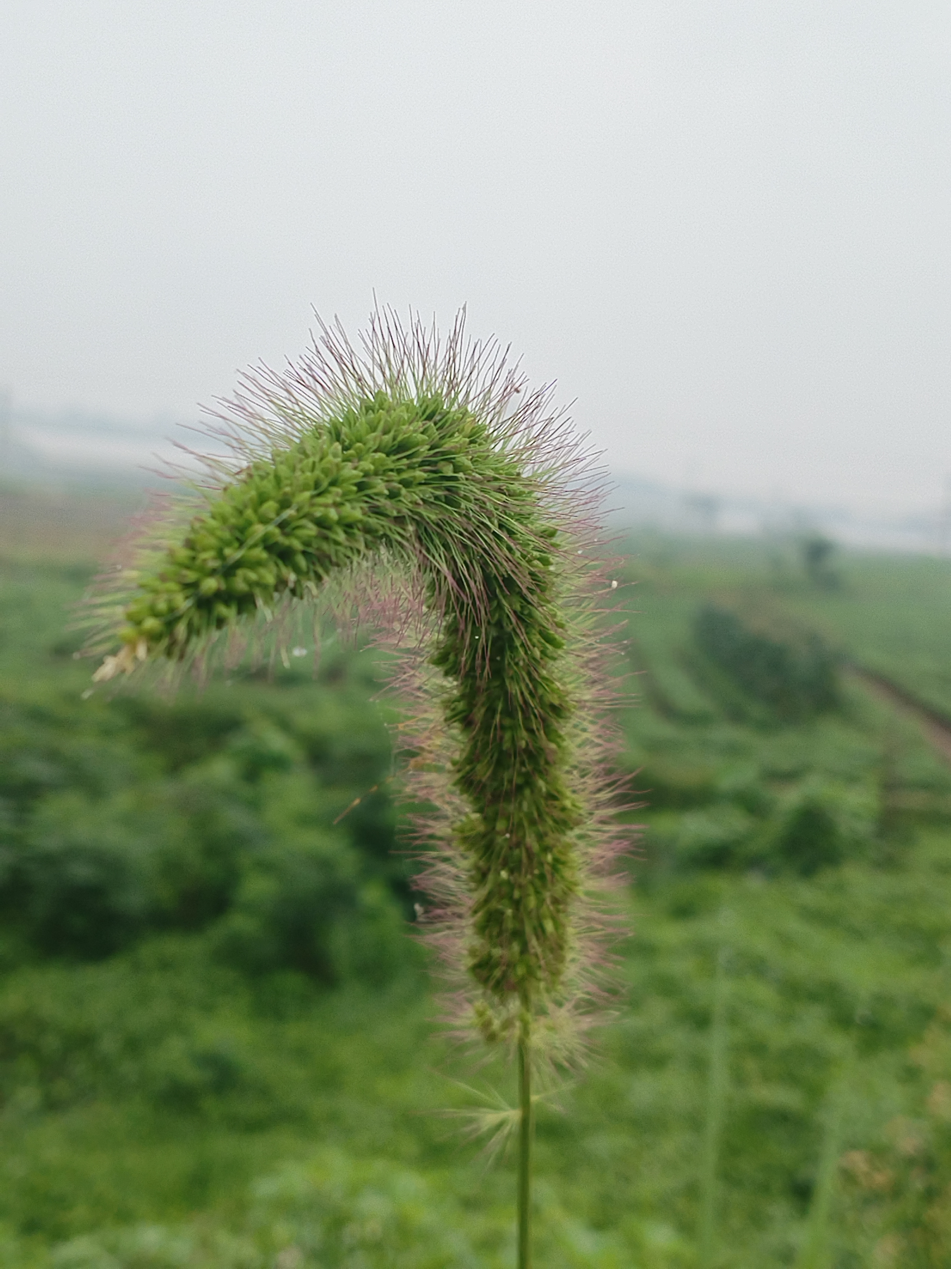 别被任何一个男人白嫖,无论是恋人,还是情人