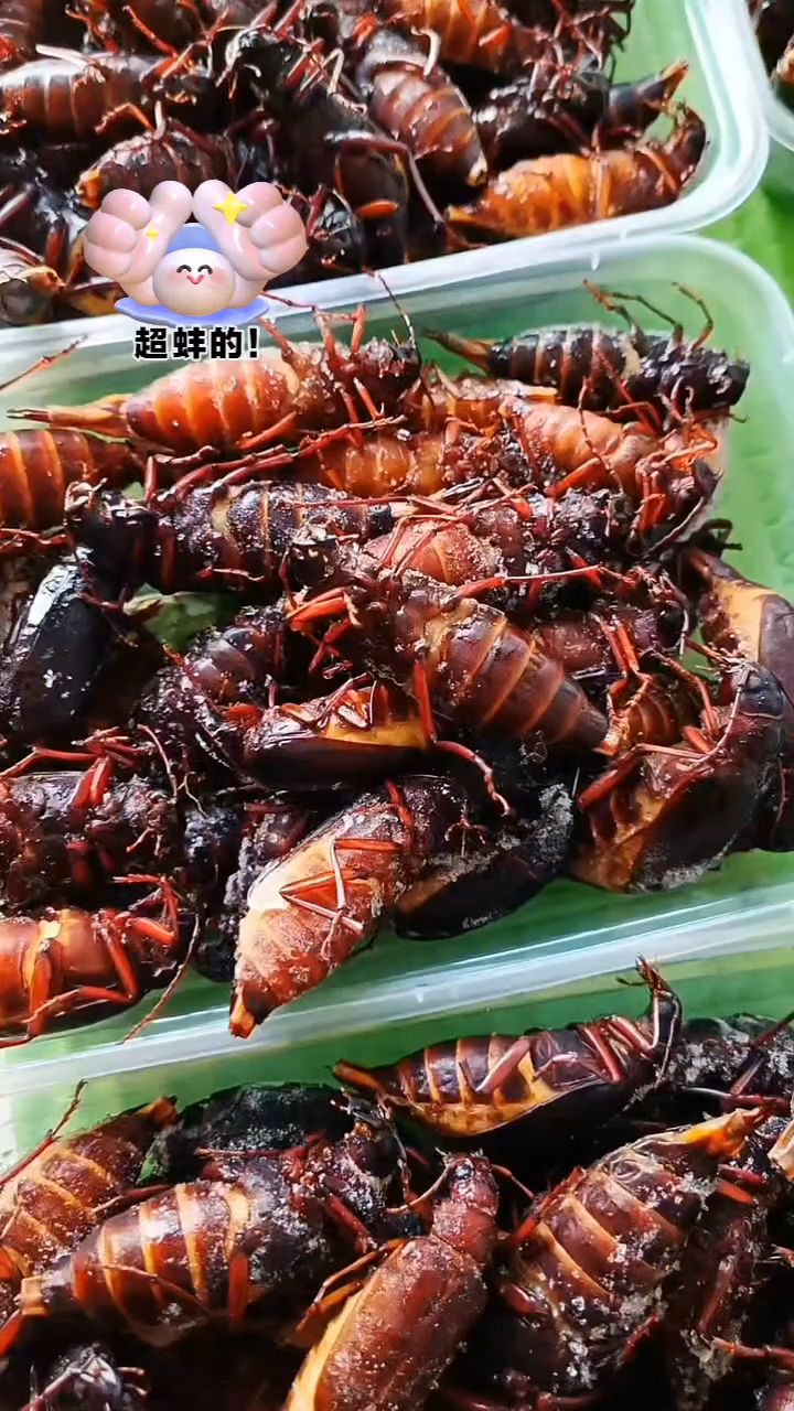 昆虫美食满籽山水牛油炸嘎嘎香!