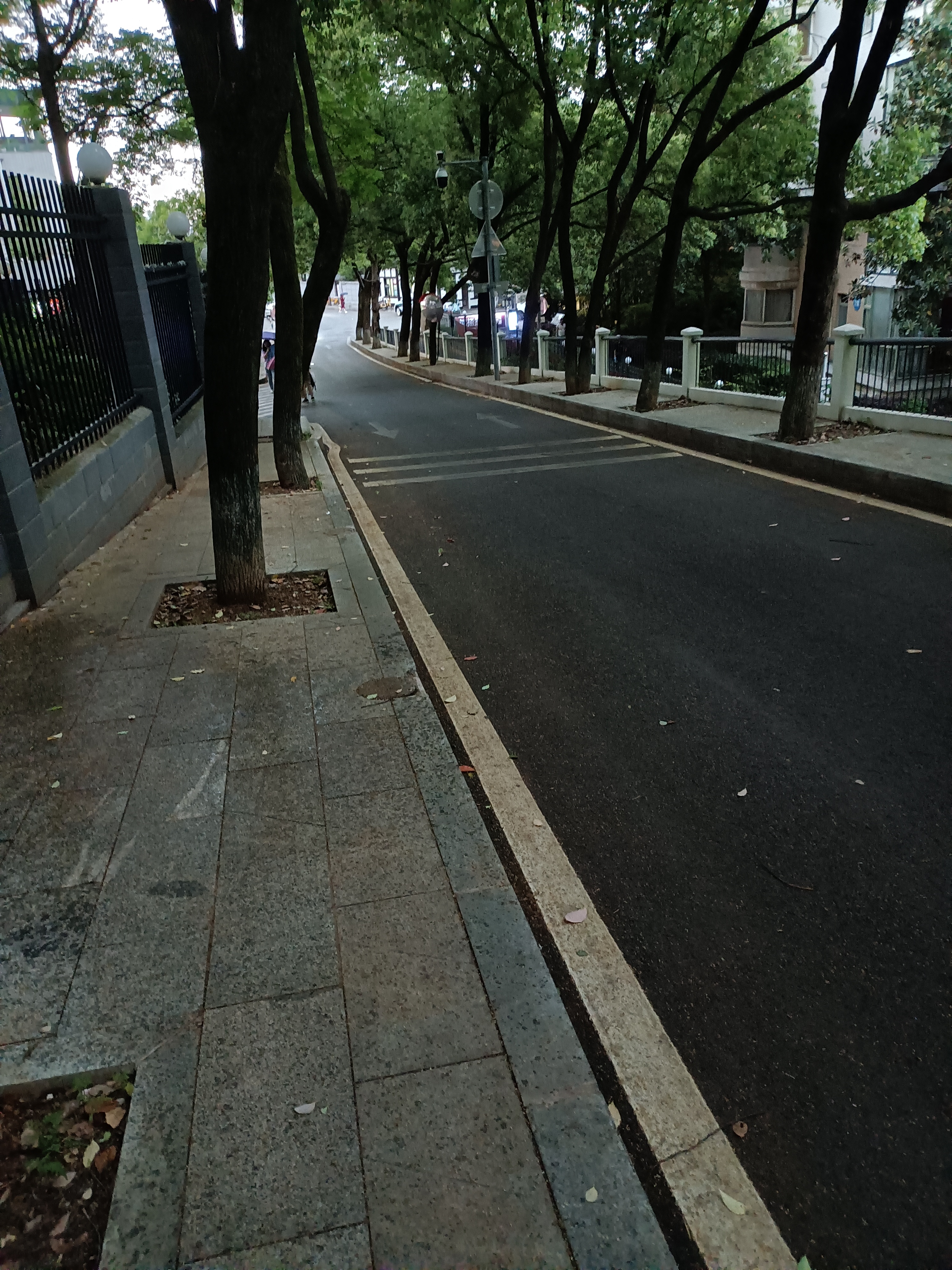 天阴沉昏暗下来了,雷声阵阵听着有点害怕,恰巧路上