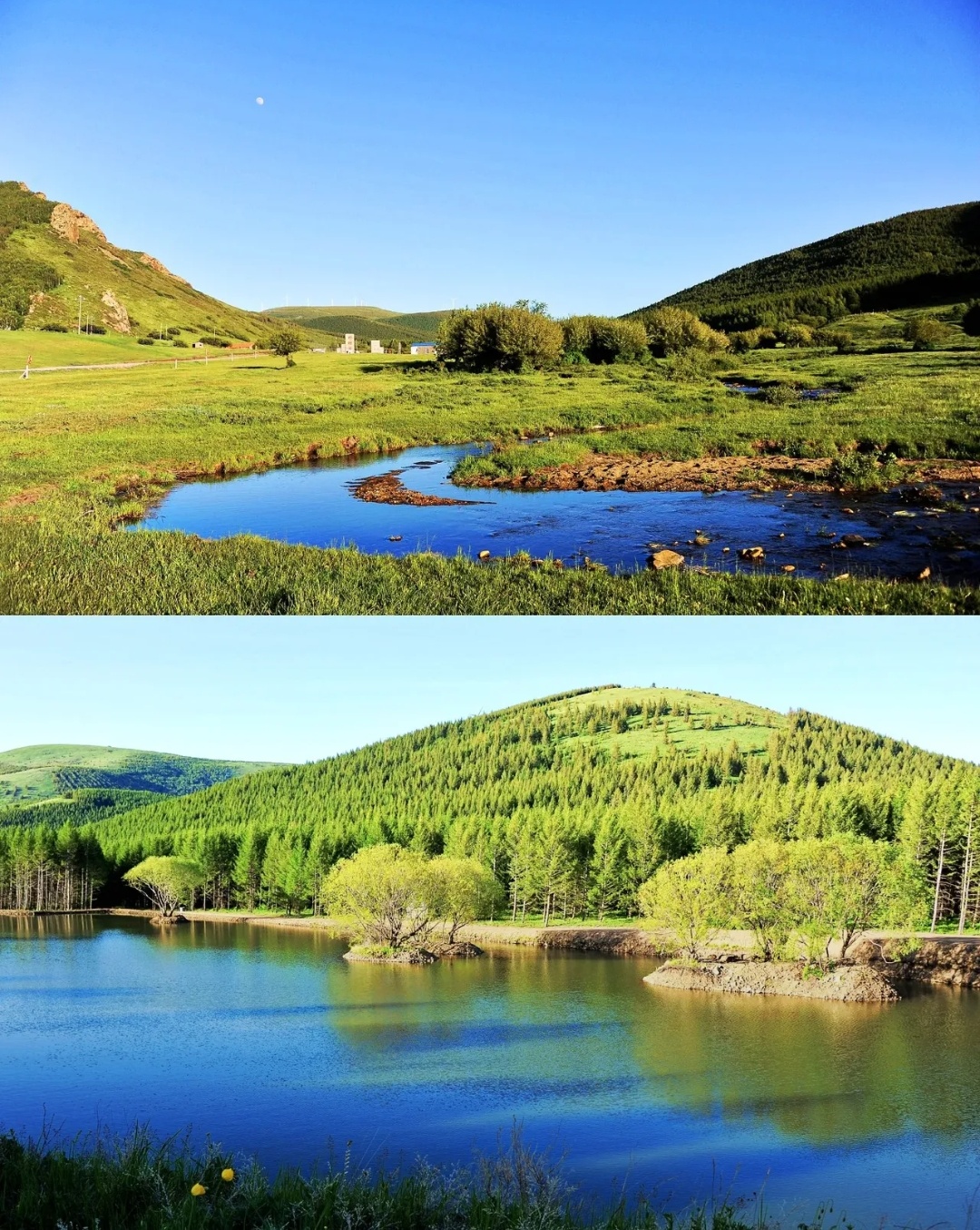 坝上草原景点柳树沟