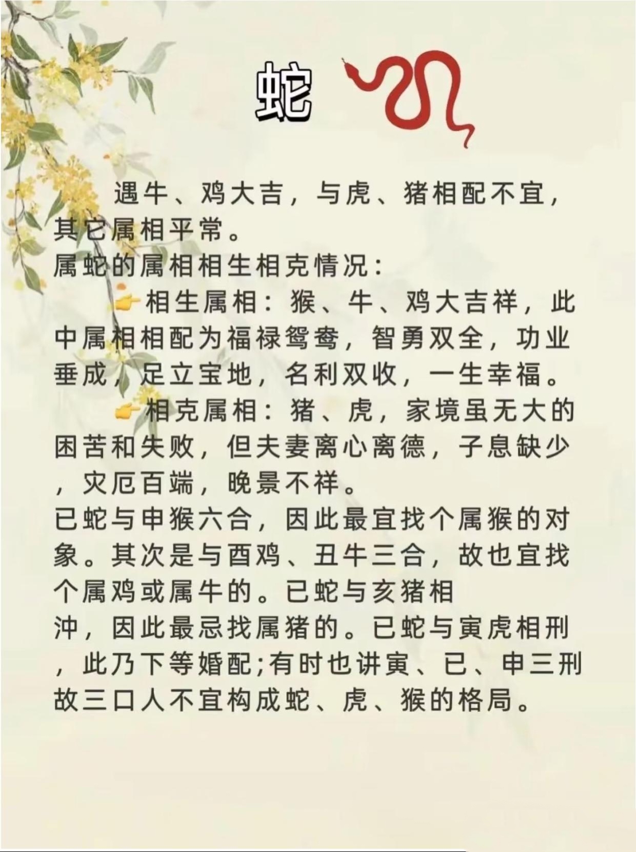 杏林代表什么生肖